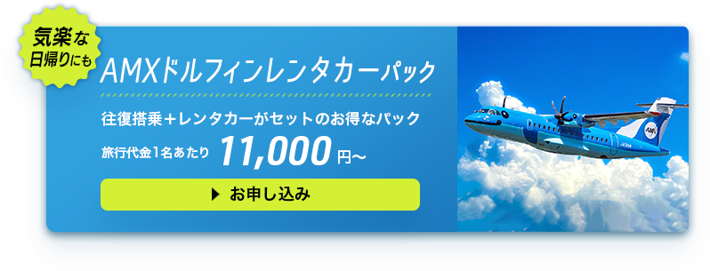AMXドルフィンレンタカーパック 往復搭乗＋レンタカーがセットのお得なパック